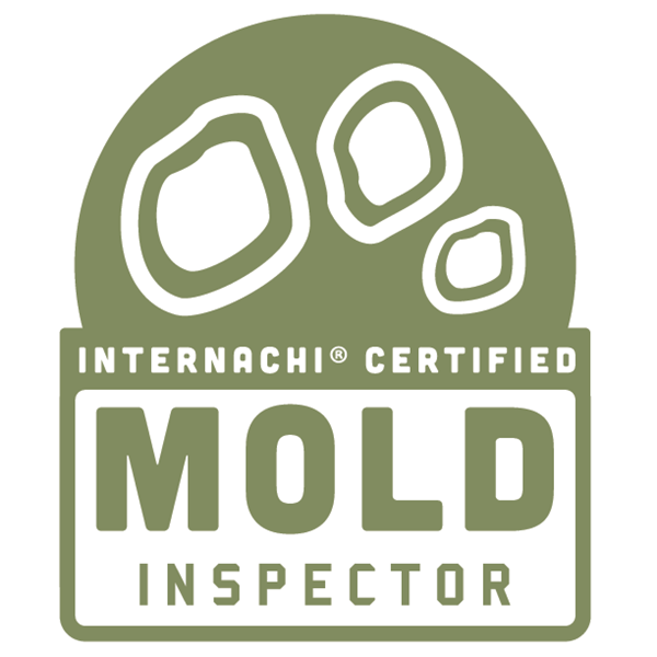 Mold Inspection
